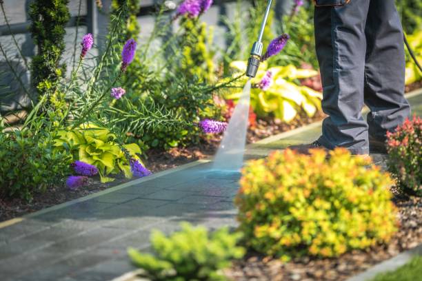 Best Winterizing Services  in Edwards Af, CA
