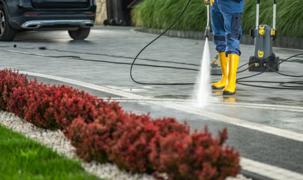 Best Solar Panel Cleaning  in Edwards Af, CA